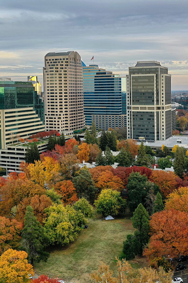 Aerial view of downtown Sacramento with tall buildings and autumnal trees.